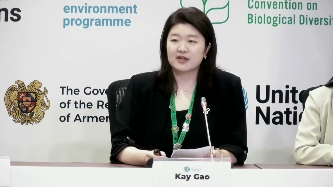Gao Jinyi introduces “聲景中國·深境計劃” (Soundscape China · Deep Nature Programme). Image source: UN Web TV.