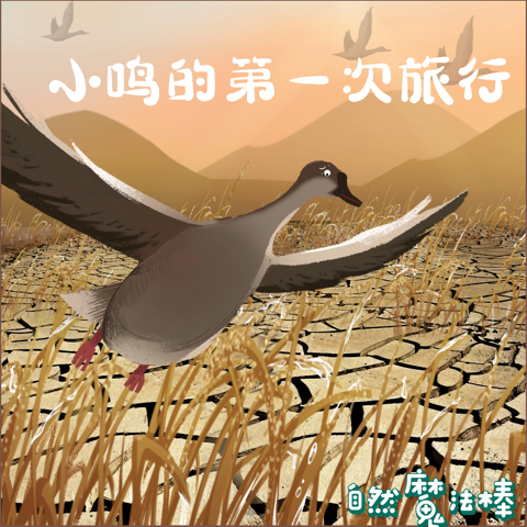 小鸣的第一次旅行