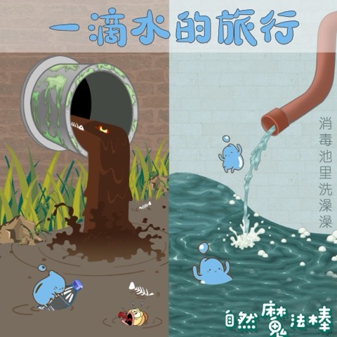 一滴水的旅行(上)